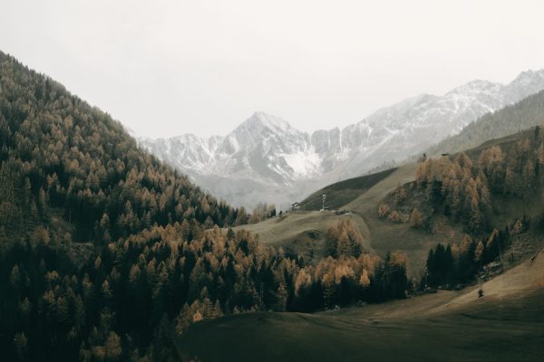 stk-design-library-image-2